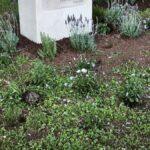 Vandalismo en Albal: Monumento a las víctimas de la dana sufre su segundo ataque en dos meses