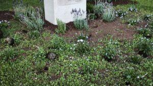 Vandalismo en Albal: Monumento a las víctimas de la dana sufre su segundo ataque en dos meses