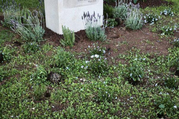 Vandalismo en Albal: Monumento a las víctimas de la dana sufre su segundo ataque en dos meses