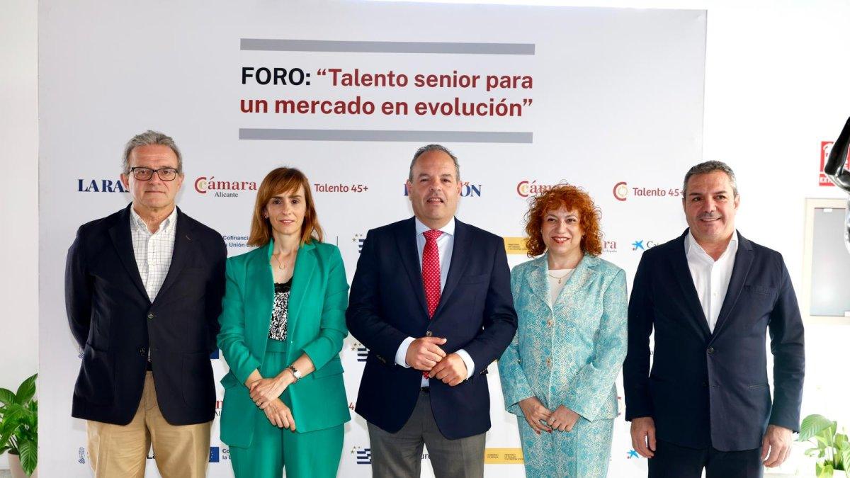 Cámara de Alicante: Potenciando el Talento Sénior para su Éxito en el Mercado Laboral 45+