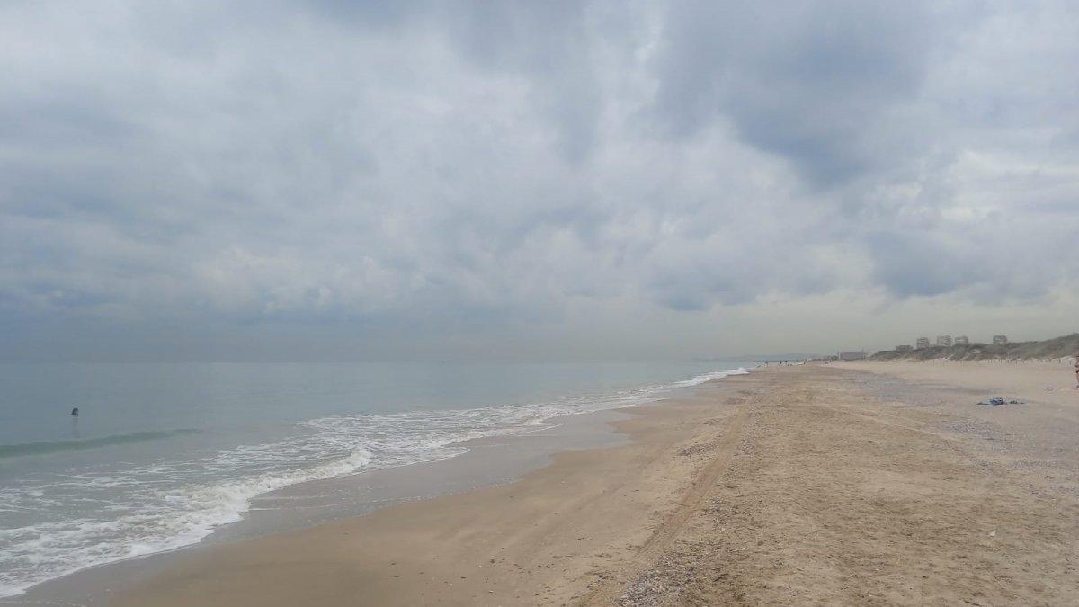 Descubren media figura humana en la playa de El Saler: detalles impactantes