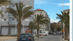 Desalojo de madre e hijo en Elche por la acumulación de excrementos de aves que causó el derrumbe del falso techo