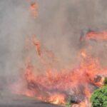Seis incendios en pocas horas en Castellón: alerta máxima durante la ola de calor
