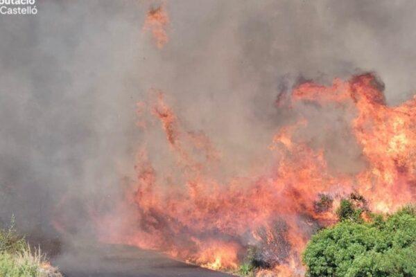 Seis incendios en pocas horas en Castellón: alerta máxima durante la ola de calor