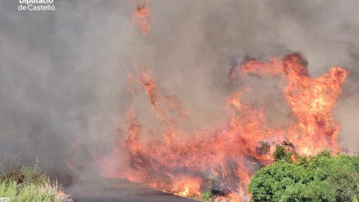 Seis incendios en pocas horas en Castellón: alerta máxima durante la ola de calor