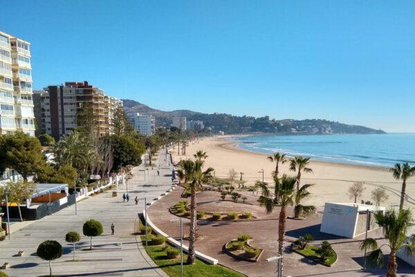 Detenido un joven de 19 años con BMW por las cuatro muertes en Benicàssim