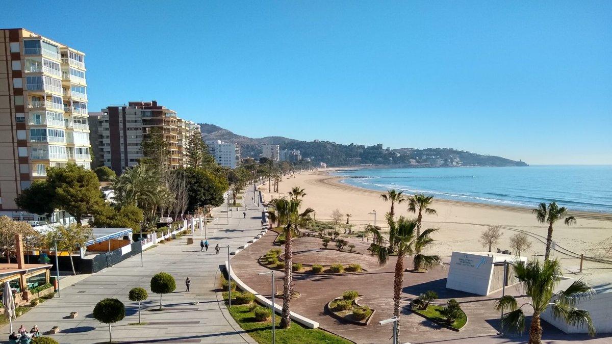 Detenido un joven de 19 años con BMW por las cuatro muertes en Benicàssim