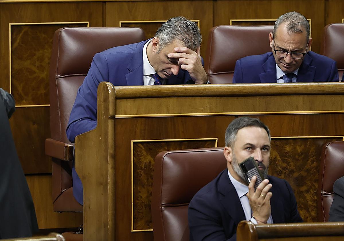 Ortega Smith deja Vox en el Congreso y se une al Grupo Mixto: "Esta decisión inspirará a otros"