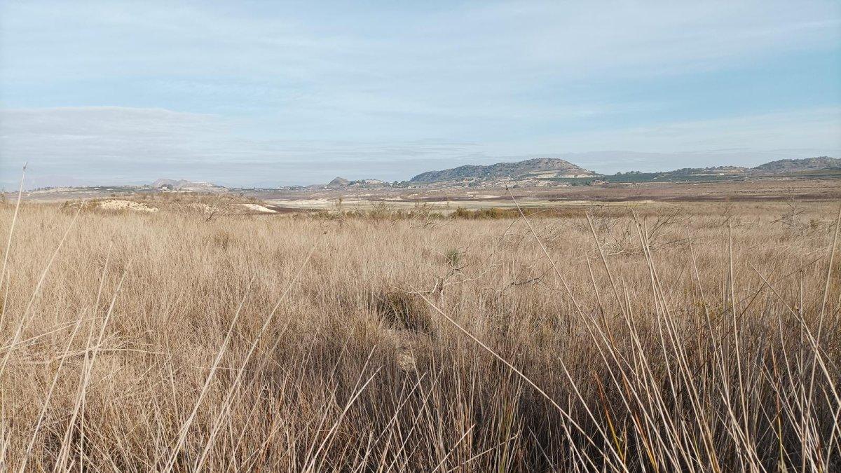 La Vega Baja toma una decisión clave: Se crea una mesa técnica para seleccionar la ubicación de la nueva planta de residuos