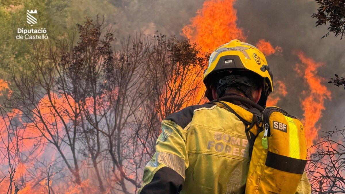 Incendio en Soneja: Estabilizado tras intensas labores de extinción con 11 aeronaves involucradas