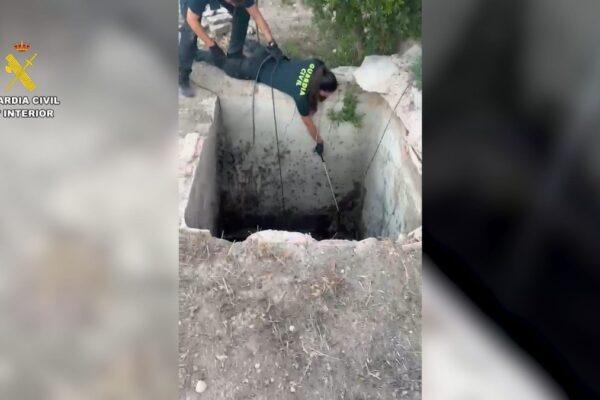 Impactante rescate de un zorro atrapado en un pozo en Aspe: así sucedió todo