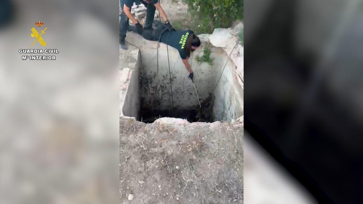 Impactante rescate de un zorro atrapado en un pozo en Aspe: así sucedió todo