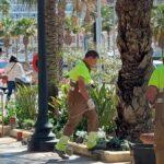 Alicante aumenta la inversión en zonas verdes y mejora el alumbrado de varios barrios