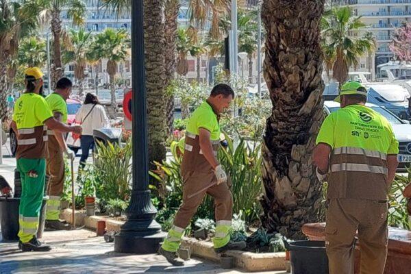 Alicante aumenta la inversión en zonas verdes y mejora el alumbrado de varios barrios