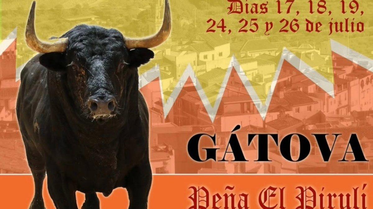 Capturan el toro fugitivo de Gátova y encuentran las vaquillas, pero se cancelan los festejos taurinos