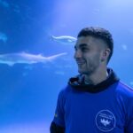 Descubre el tiburón Ferran Torres en el Oceanogràfic: el homenaje del acuario valenciano al goleador del Mundial