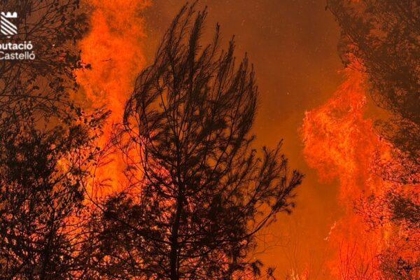 Incendio en la Vall d'Uixó: refuerzo aéreo masivo para combatir uno de los mayores fuegos del verano