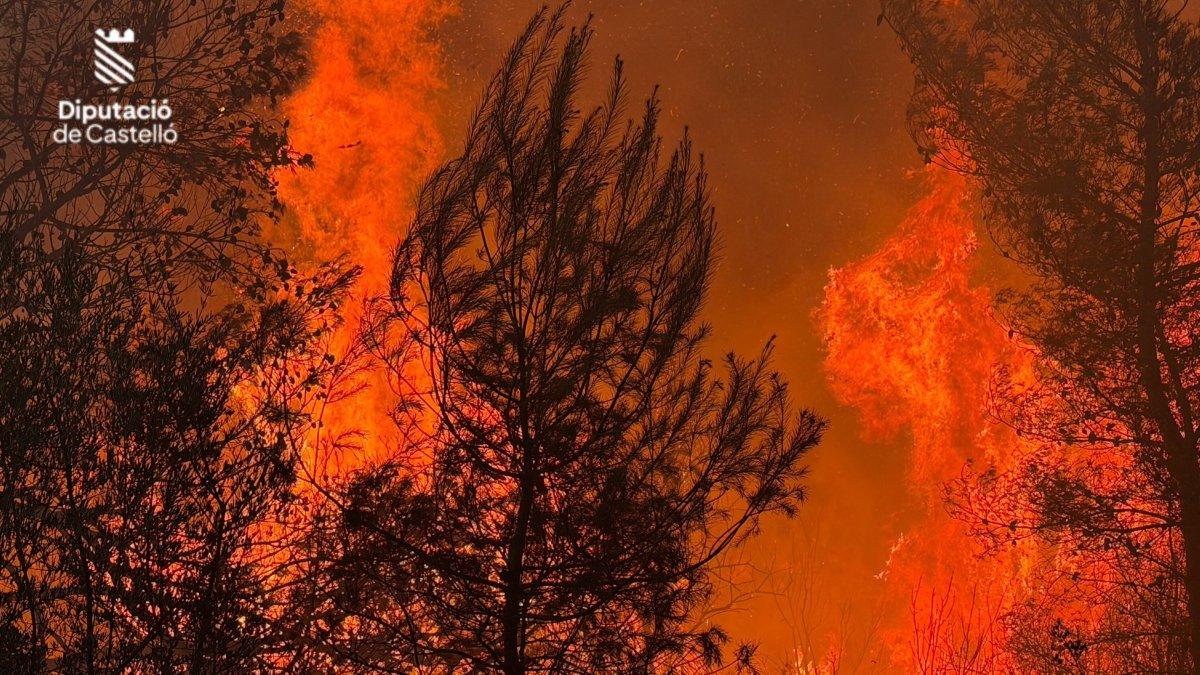 Incendio en la Vall d'Uixó: refuerzo aéreo masivo para combatir uno de los mayores fuegos del verano