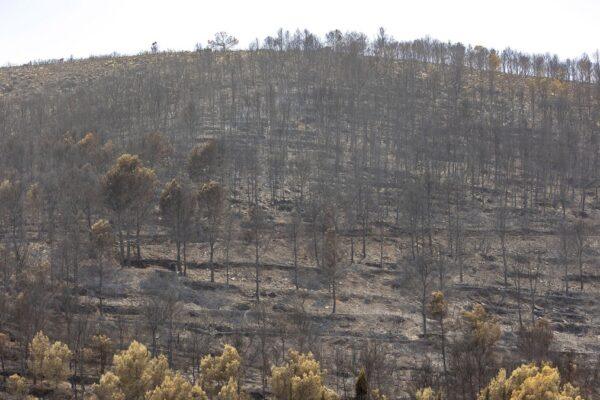Incendio en la Vall d'Uixó: 10.000 hectáreas arrasadas y riesgo de nueva ola de calor