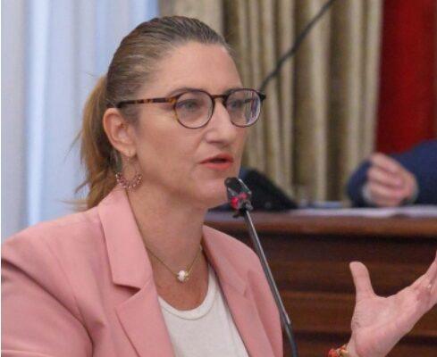 La ausencia de España en la comisión de las VPP