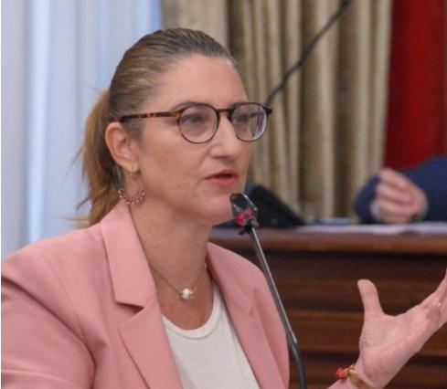 La ausencia de España en la comisión de las VPP