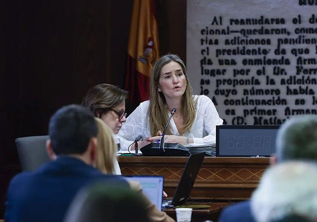 Aagesen desmiente presiones de Moncloa y PNV en los rescates de Tubos, Plus Ultra y Air Europa en el Senado