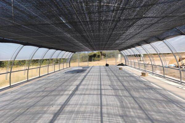 La Generalitat impulsa el vivero de La Yesa con infraestructuras innovadoras para aumentar la producción de plantas autóctonas en restauración forestal