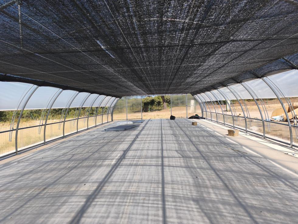 La Generalitat impulsa el vivero de La Yesa con infraestructuras innovadoras para aumentar la producción de plantas autóctonas en restauración forestal