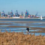 Valencia bloqueará el acceso a la Albufera a partir de las 18:00 por el eclipse total del 12 de agosto