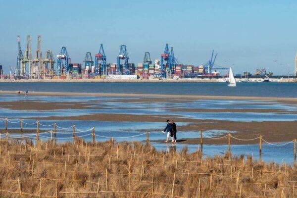 Valencia bloqueará el acceso a la Albufera a partir de las 18:00 por el eclipse total del 12 de agosto