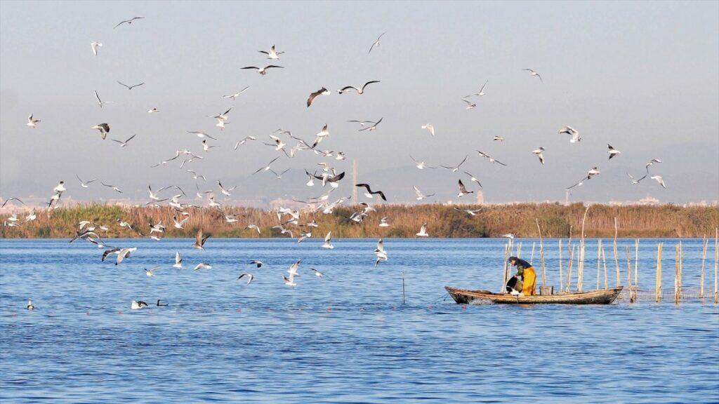 Valencia restringe el tráfico en l'Albufera y la Malva rosa por el eclipse: medidas de acceso y seguridad