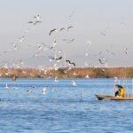 Valencia restringe el tráfico en l'Albufera y la Malva rosa por el eclipse: medidas de acceso y seguridad