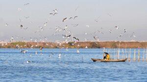 Valencia restringe el tráfico en l'Albufera y la Malva rosa por el eclipse: medidas de acceso y seguridad