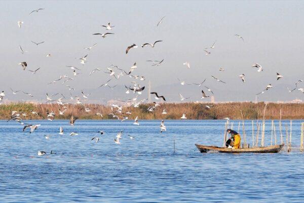 Valencia restringe el tráfico en l'Albufera y la Malva rosa por el eclipse: medidas de acceso y seguridad