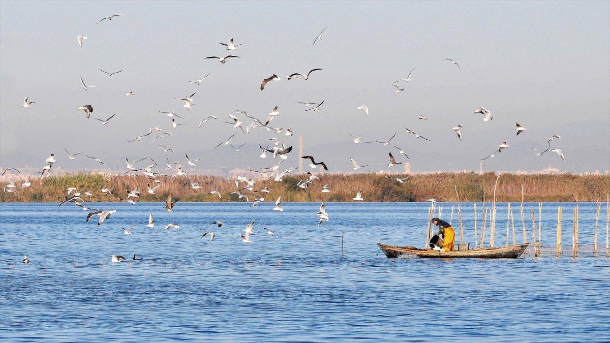 Valencia restringe el tráfico en l'Albufera y la Malva rosa por el eclipse: medidas de acceso y seguridad