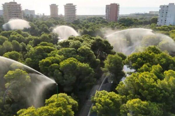 Descubre La Devesa de El Saler: el pulmón verde que salvaguarda Valencia entre el mar y la Albufera