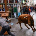 Tragedia en las fiestas de Tírig: un joven de 21 años muere tras una grave cogida en los toros