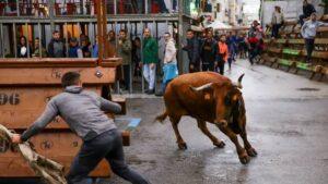 Tragedia en las fiestas de Tírig: un joven de 21 años muere tras una grave cogida en los toros