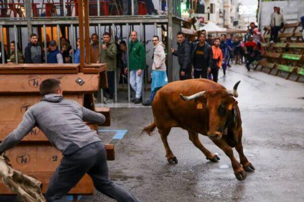 Tragedia en las fiestas de Tírig: un joven de 21 años muere tras una grave cogida en los toros