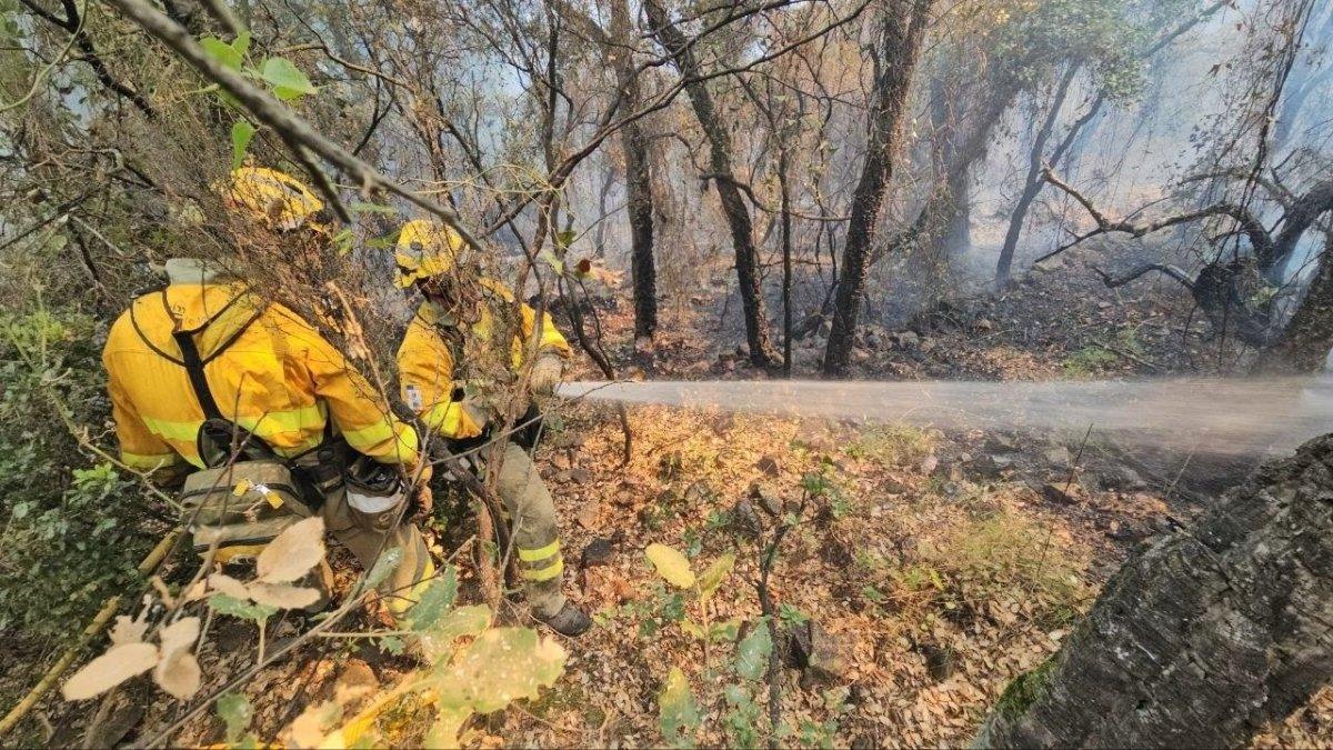 El incendio de Vall d'Uixó se acerca a su fin: el Seprona investiga su posible origen intencionado