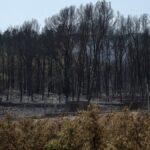 La Generalitat solicita al Gobierno que destine fondos europeos de turismo para la recuperación de Vall d’Uixó tras el incendio
