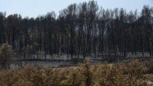 La Generalitat solicita al Gobierno que destine fondos europeos de turismo para la recuperación de Vall d’Uixó tras el incendio