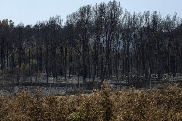 La Generalitat solicita al Gobierno que destine fondos europeos de turismo para la recuperación de Vall d’Uixó tras el incendio