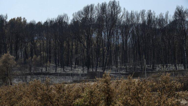 La Generalitat solicita al Gobierno que destine fondos europeos de turismo para la recuperación de Vall d’Uixó tras el incendio