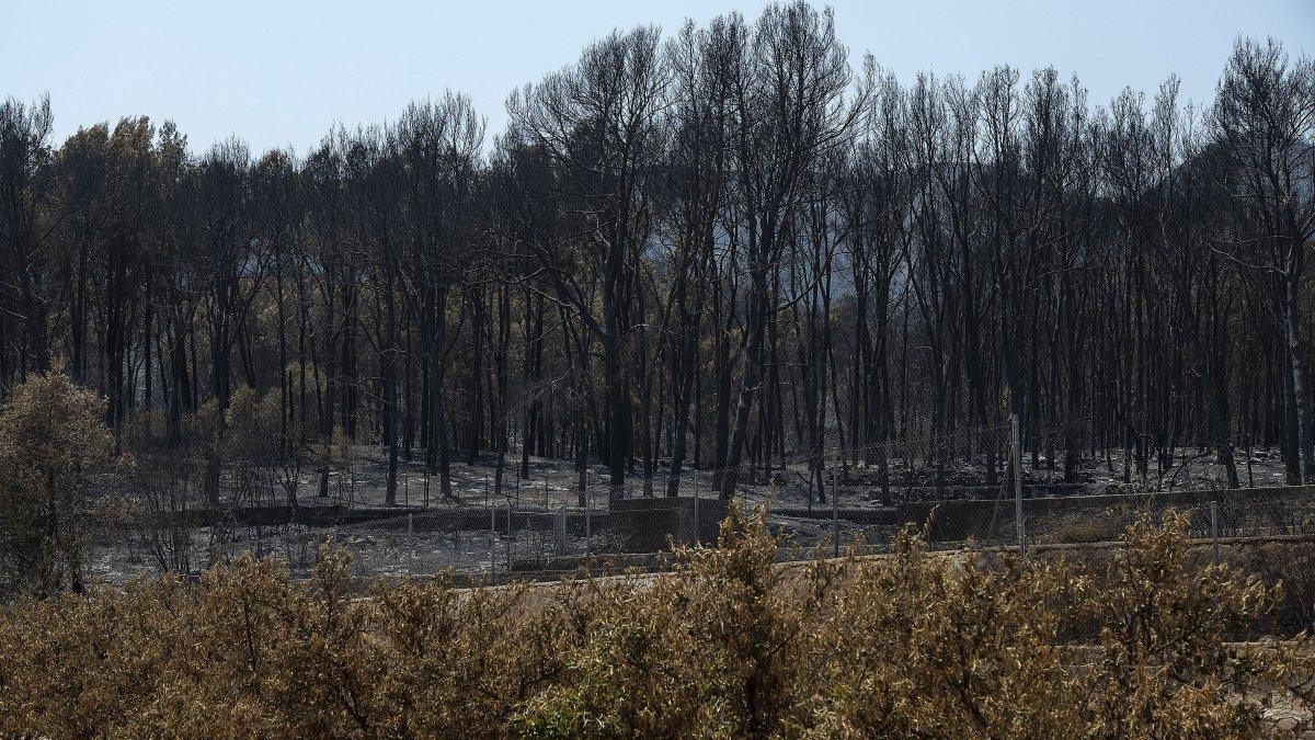 La Generalitat solicita al Gobierno que destine fondos europeos de turismo para la recuperación de Vall d’Uixó tras el incendio