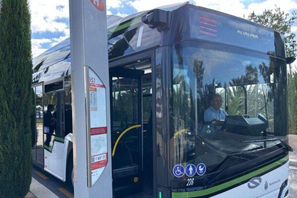Autobuses Nocturnos para las Fiestas de Elche: Conectando Barrios y Pedanías de Forma Fácil y Segura