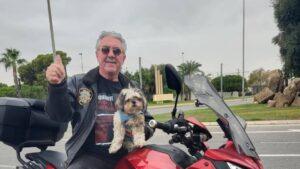 Reflexiones teológicas sobre la muerte de una mascota: el duelo por la pérdida de un perro