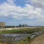 Xirivella solicita el desbroce urgente de la maleza en el cauce del Turia para prevenir incendios y lluvias torrenciales