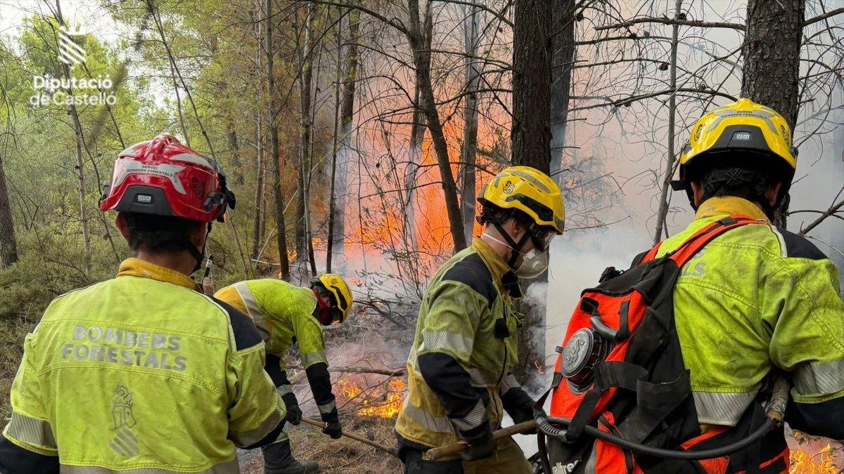 Incendio en Segorbe provocado por un rayo: Bomberos en alerta toda la noche