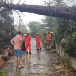 Tormentas en Valencia: daños devastadores y esfuerzos de los municipios para recuperar la normalidad